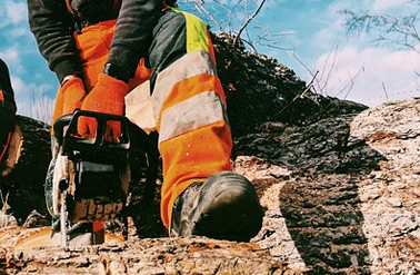 Tronçonneuse : un outil efficace pour abattre des arbres et jardiner